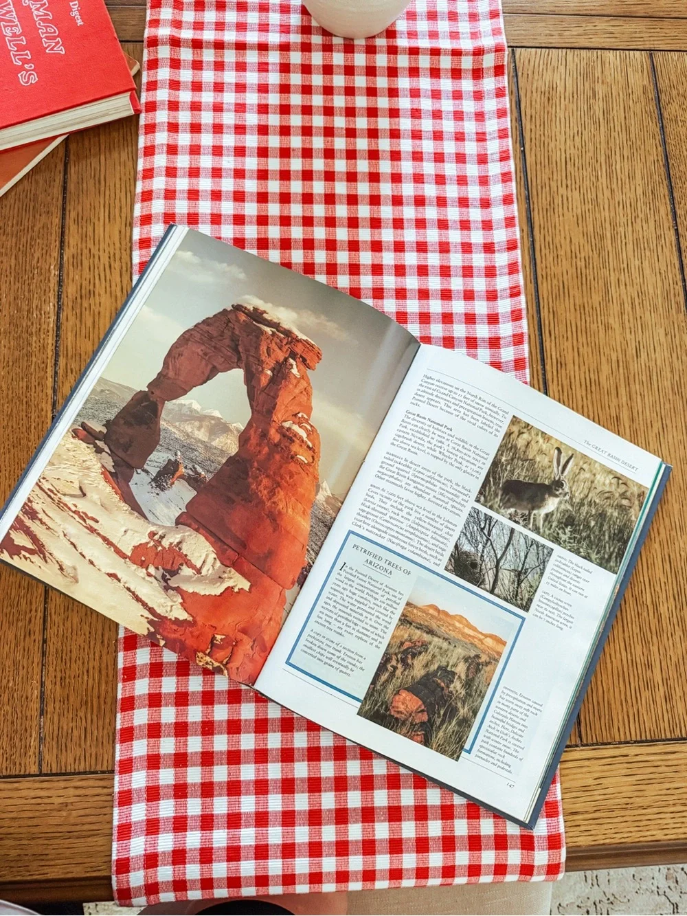 Classic Navy Hardcover Coffee Table Book - The Natural History of North America